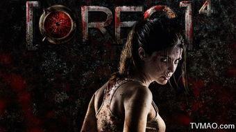 死亡录像花絮,幕后真相与惊悚花絮揭秘