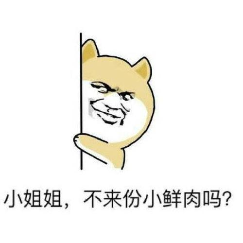 焦不满表情包,网络时代的情绪共鸣与社交新风尚