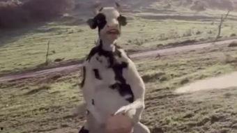 昆宝出拳搞笑,笑料横生的搞笑出拳大集合