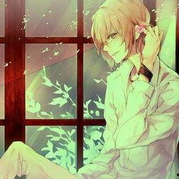 k男图片,探寻时尚与个性的完美融合