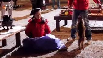 曹承佑 马医 花絮