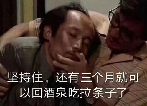 葛优绝望表情包,笑中带泪的人生缩影