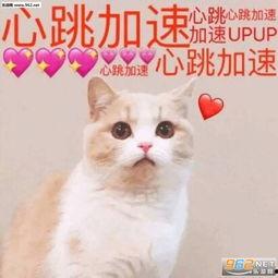 父爱微笑表情包,微笑永恒——父爱微笑表情包温情回顾