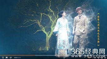 那年花开月正圆背景音乐